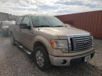 FORD - F-150