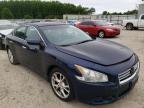 NISSAN - MAXIMA