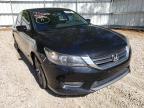 HONDA - ACCORD