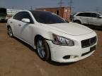 NISSAN - MAXIMA