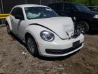 VOLKSWAGEN - BEETLE