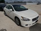 NISSAN - MAXIMA