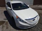 HYUNDAI - SONATA