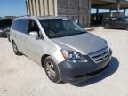 HONDA - ODYSSEY