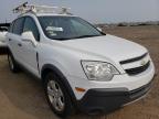 CHEVROLET - CAPTIVA