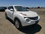 NISSAN - JUKE