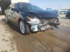 NISSAN - MAXIMA