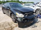NISSAN - MAXIMA
