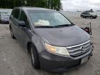 HONDA - ODYSSEY