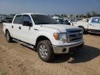 FORD - F-150