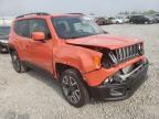 JEEP - RENEGADE