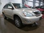 LEXUS - RX350