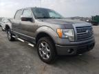 FORD - F-150