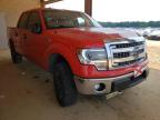 FORD - F-150