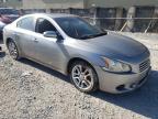 NISSAN - MAXIMA