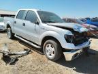 FORD - F-150