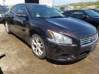 NISSAN - MAXIMA