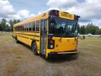 usados BLUEBIRD SCHOOL BUS