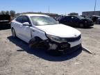 KIA - OPTIMA