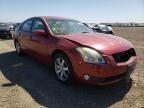 NISSAN - MAXIMA