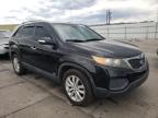 KIA - SORENTO