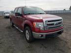 FORD - F-150