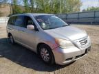 HONDA - ODYSSEY