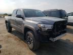 TOYOTA - TACOMA