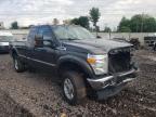 FORD - F250