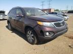 KIA - SORENTO