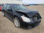 NISSAN - MAXIMA