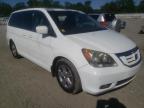 HONDA - ODYSSEY