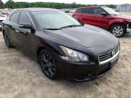 NISSAN - MAXIMA