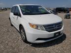 HONDA - ODYSSEY