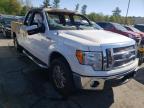 FORD - F-150