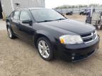 DODGE - AVENGER