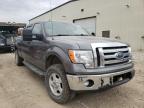 FORD - F-150