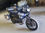 TRIUMPH - TIGER