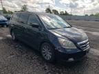 HONDA - ODYSSEY