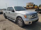 FORD - F-150