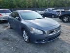 NISSAN - MAXIMA