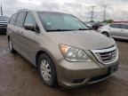 HONDA - ODYSSEY