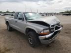 DODGE - DAKOTA