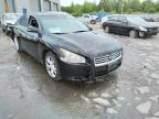 NISSAN - MAXIMA