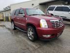 CADILLAC - ESCALADE