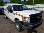 FORD - F-150