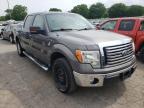 FORD - F-150