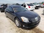 NISSAN - MAXIMA