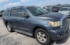 TOYOTA - SEQUOIA