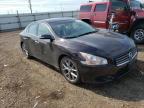 NISSAN - MAXIMA